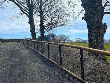 Drive way to the pod