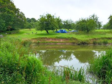 Tent set up next to the lake