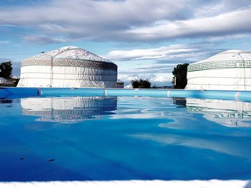 The pool