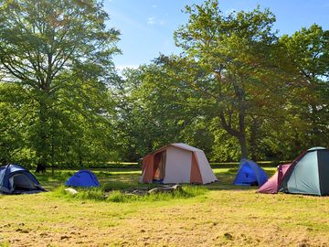 Quiet rural camping just 12 miles from central London