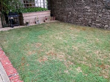 Grass pitch area