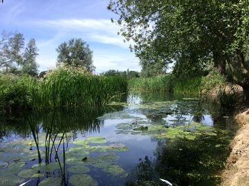 River views