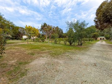 Pitches divided by bushes and shrubs