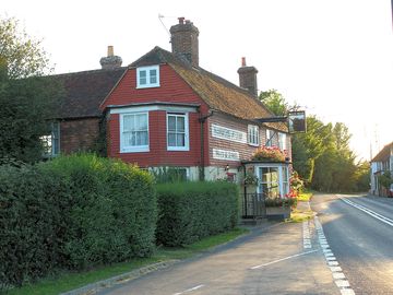 The bull's head