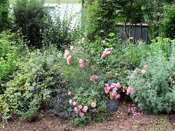 Lots of greenery and flowers
