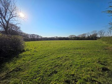 Grass pitches