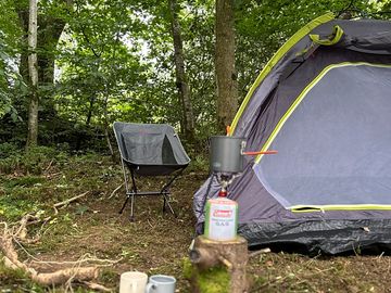 Forest pitch
