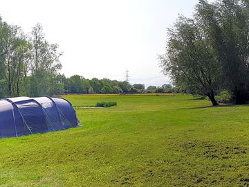 Grass pitches