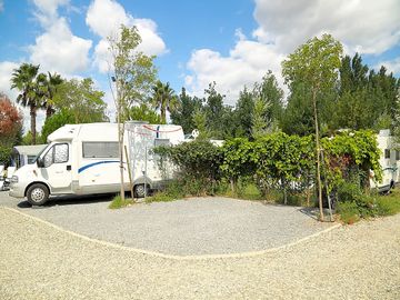 Hedges around the pitch