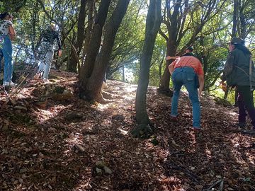 Mushroom hunting