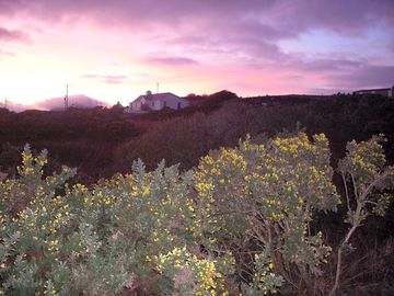 Amazing colour just outside your tent