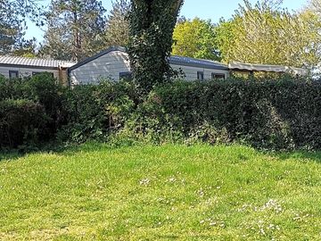 Partially shaded grass pitches