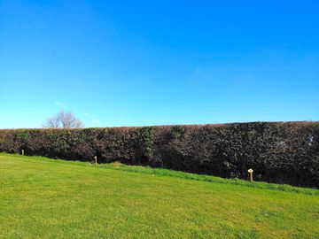 Around the site
