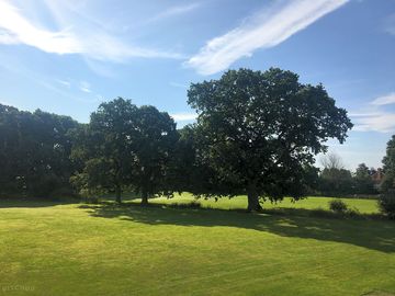 Grass tent pitches
