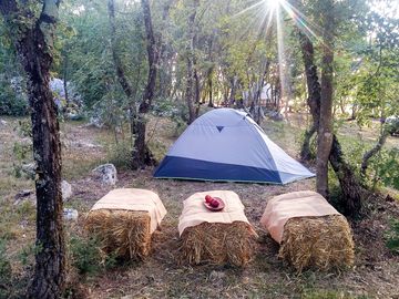 Camping in the woods