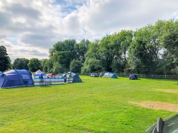 Grass pitches