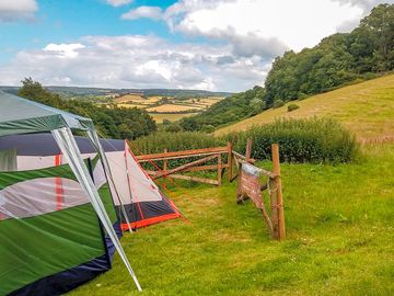 Grass tent pitches