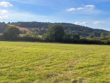 View from the site