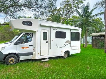 Stay among the trees