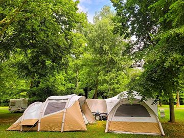 Camp between the trees