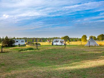 The camping pitches