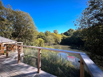 The view from Pond View