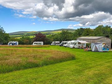 Dart Field