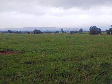 The main camping field