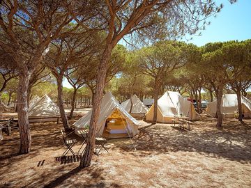 Shaded bell tents