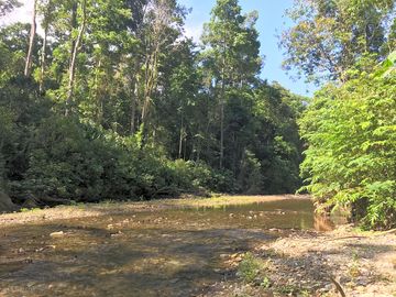 Rio nuevo