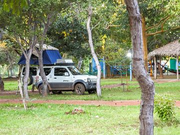 Pitches among the trees
