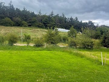 Grass caravan site
