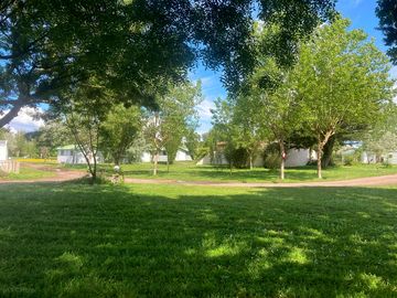 Tree-shaded pitches