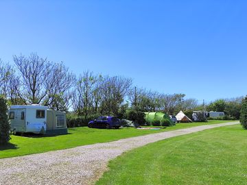Electric grass pitches