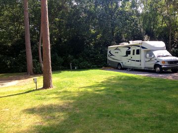 Shaded pitches in the woods
