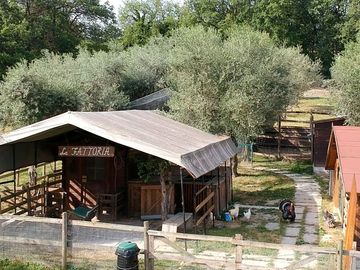 Fattoria