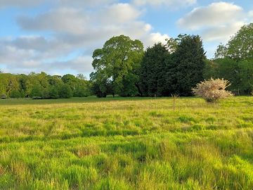 East yorkshire countryside view