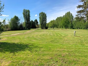 Lots of greenery