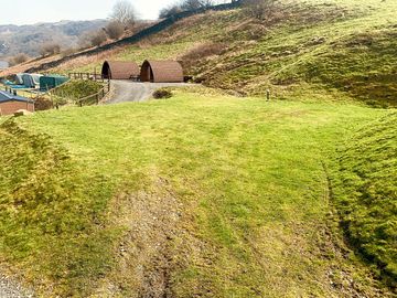 Bryn 2