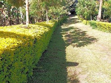 Sunny and shaded spots