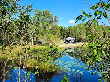Sanctuary pond with bird hide
