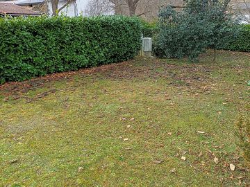 Pitches surrounded by hedges