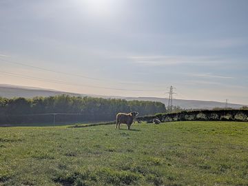 Picturesque landscape