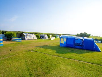 Grass pitches
