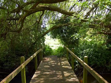 Pooh sticks, anyone?