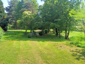 Pitches among the trees