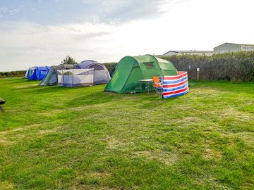 Grass tent pitch