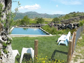 Natural plunge pool with no chemicals