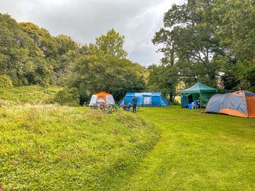 Visitor image of the pitches