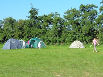 Sheltered grassy field